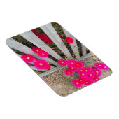 Magnet lautes Rosa Daisons (Rechte Seite)