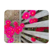 Magnet lautes Rosa Daisons (Horizontal)