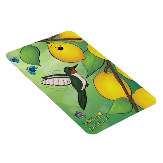 Magnet - Lemonade (Rechte Seite)