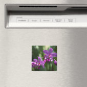 Magnet lila tropische Blume (In Situ (Geschirrspüler))