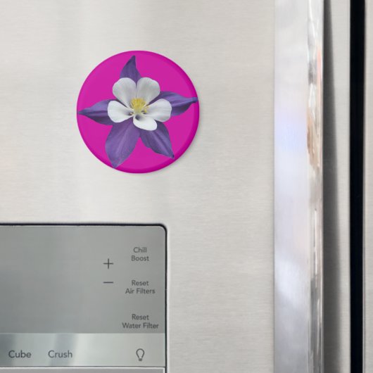 Magnet Lila und weiße Blume (In Situ (Kühlschrank))