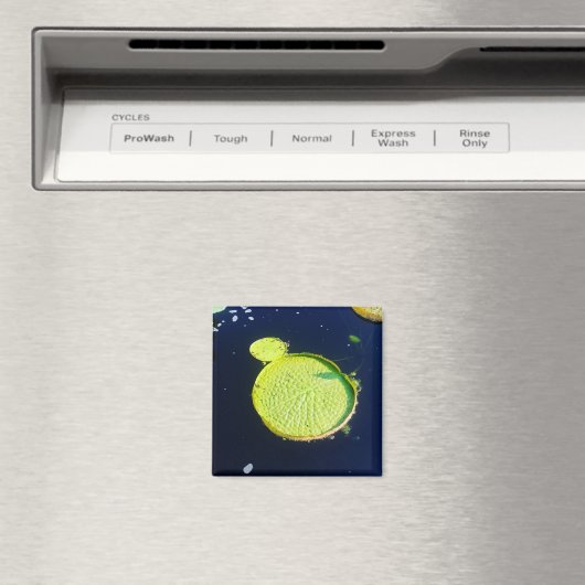 Magnet - Lily Pad (Chicago) (In Situ (Geschirrspüler))