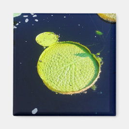 Magnet - Lily Pad (Chicago)