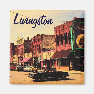 Magnet Livingstons Montana