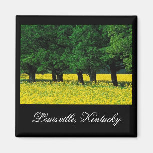 Magnet Louisvilles, Kentucky