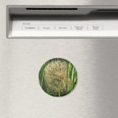 Magnet – Löwenzahn Pusteball (In Situ (Geschirrspüler))
