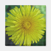 Magnet - Lüster (Vorne)