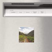 Magnet Madeira - Levada do Caniçal (In Situ (Geschirrspüler))