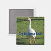 Magnet! Magnet (Vorderseite/Rückseite)