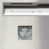 Magnet - Maine Coon Cat Bild 2 (In Situ (Geschirrspüler))