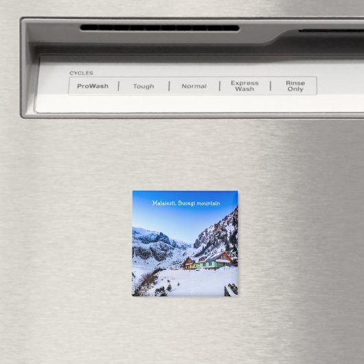 Magnet Malaiesti (In Situ (Geschirrspüler))