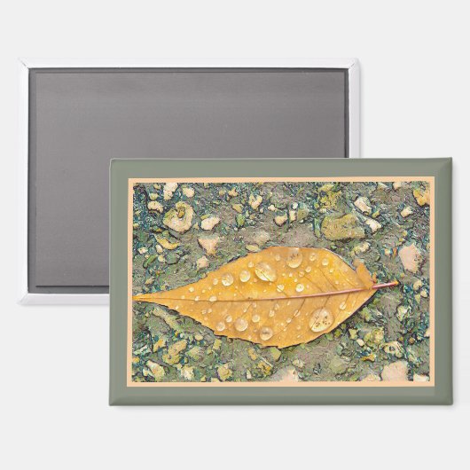 Magnet mit Blatt und Regentropfen (Vorderseite/Rückseite)