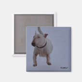 Magnet mit Bullenterre im Schnee (Vorderseite/Rückseite)