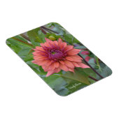 Magnet mit Dahlie (Rechte Seite)