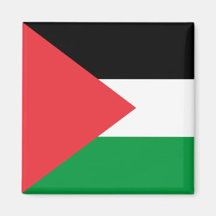 Magnet mit der Flagge Palästinas