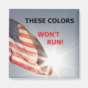 Magnet mit Fahne und "DIESE FARBEN WERDEN NICHT LA