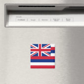 Magnet mit Flagge des Hawaii-Staat - USA (In Situ (Geschirrspüler))