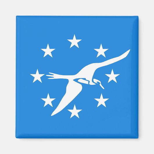 Magnet mit Flagge von Corpus Christi, Texas, USA (Vorne)