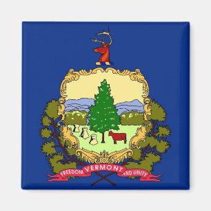 Magnet mit Flagge von Vermont Staat - USA