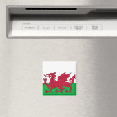 Magnet mit Flagge von Wales (In Situ (Geschirrspüler))