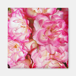 Magnet mit floralem Aufdruck rosa Rosen