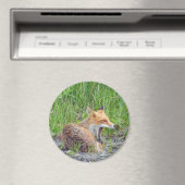 Magnet mit Fuchs (In Situ (Geschirrspüler))