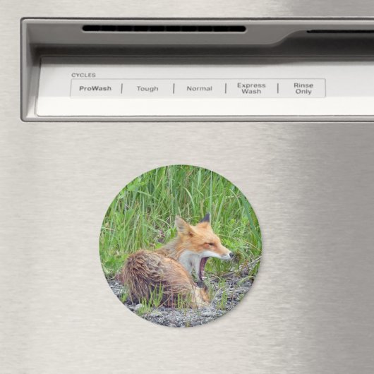 Magnet mit Fuchs (In Situ (Geschirrspüler))
