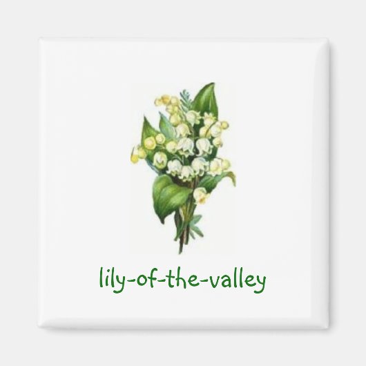 Magnet mit Lily-of-the-Valley-Design (Vorne)