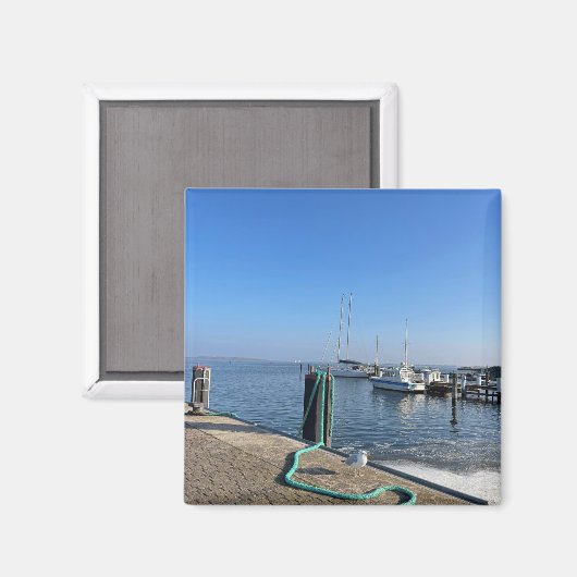 Magnet mit Möwe am Hafenufer (Vorderseite/Rückseite)