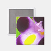 Magnet mit natürlicher Blume (Vorderseite/Rückseite)