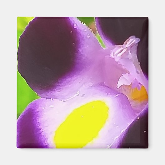 Magnet mit natürlicher Blume (Vorne)