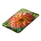 Magnet mit orangefarbenen Dahlien (Linke Seite)