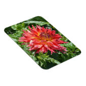Magnet mit orangefarbener Flamme Dahlia (Rechte Seite)