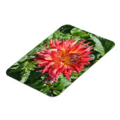 Magnet mit orangefarbener Flamme Dahlia (Linke Seite)
