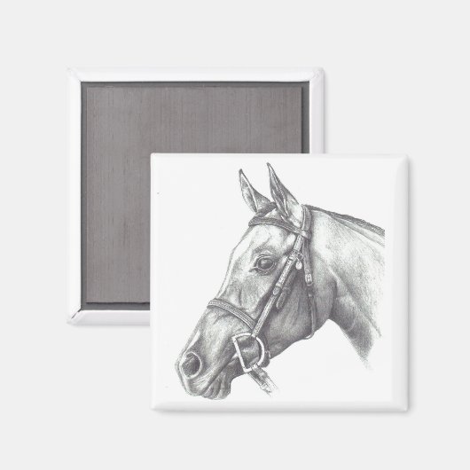 MAGNET MIT PFERDEKOPF (Vorderseite/Rückseite)