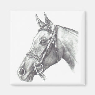 MAGNET MIT PFERDEKOPF