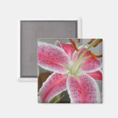 MAGNET MIT PINK LILY (Vorderseite/Rückseite)