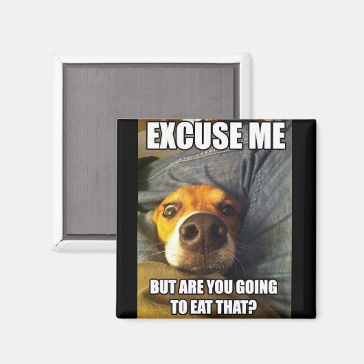 MAGNET MIT REDEWENDUNGEN (Vorderseite/Rückseite)