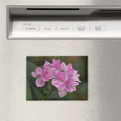 Magnet mit rosa Hortensienblüte (In Situ (Geschirrspüler))