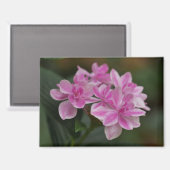 Magnet mit rosa Hortensienblüte (Vorderseite/Rückseite)