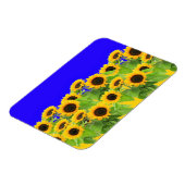 Magnet mit Sonnenblumen (Linke Seite)