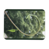 Magnet mit Trichterwindenranke und -blatt (Horizontal)