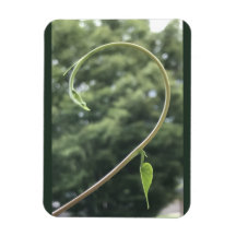 Magnet mit Trichterwindenranke und -blatt