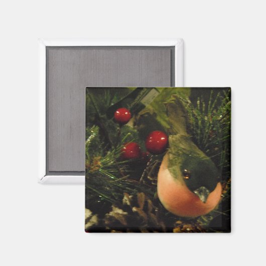 Magnet mit Vogel (Vorderseite/Rückseite)