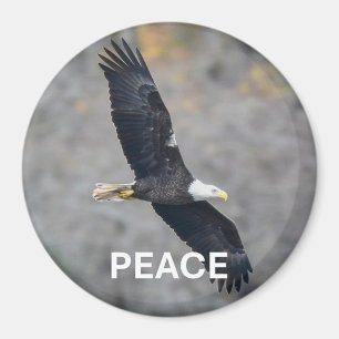 Magnet mit Weißkopfseeadler-Bild und dem Wort Frie