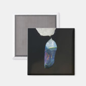 Magnet - Monarch Chrysalis (2022) (Vorderseite/Rückseite)