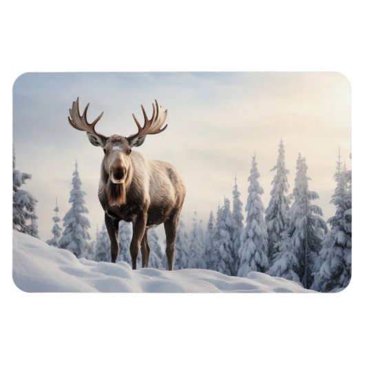 Magnet-Moose Magnet (Horizontal)