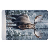 Magnet-Moose Magnet (Horizontal)