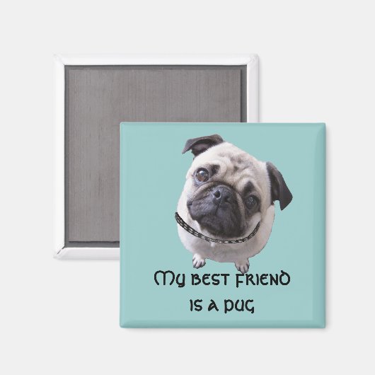 Magnet "Mops" (Vorderseite/Rückseite)