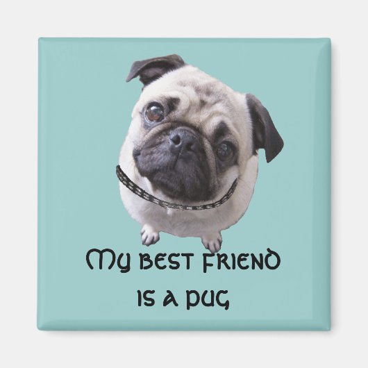 Magnet "Mops" (Vorne)